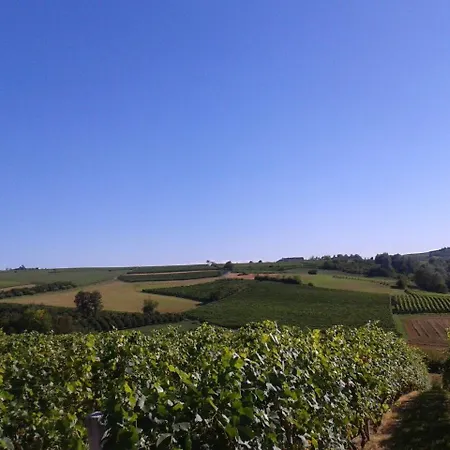 Vigneti Brichet Alloggi Agrituristici Daire Isola d'Asti